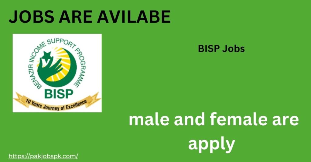 BISP Jobs